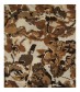 Damen Loop Schal, beige